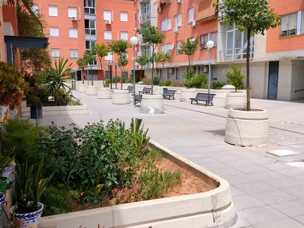 Dúplex en Calle Parque Sierra Norte, 4, Pino Montano - Foto 2