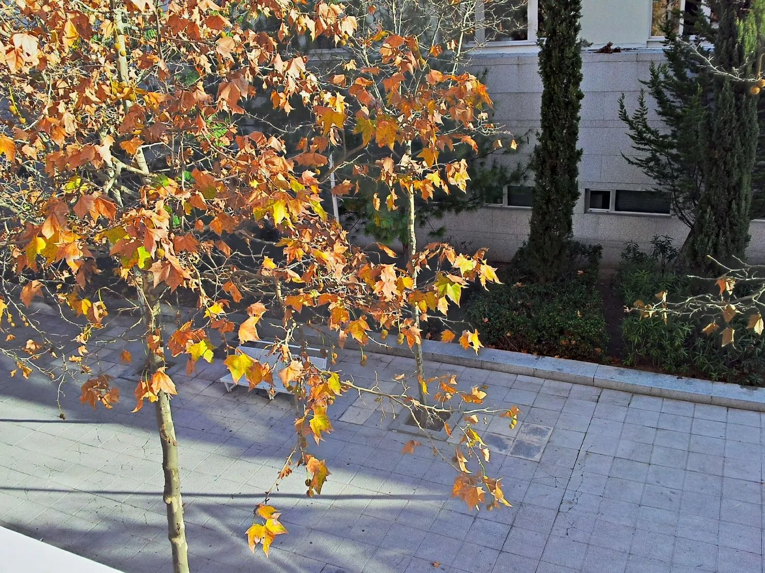 Piso en avenida de los Labradores, 7 - Foto 34