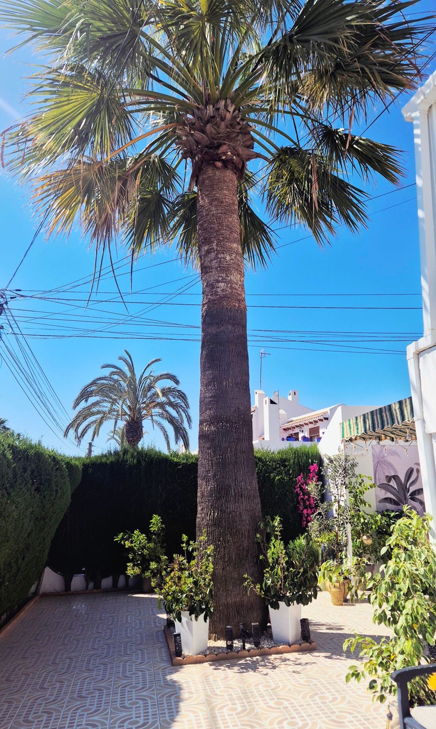 Piso en Calle Manuel de Falla, 327, Villamartín - Foto 27
