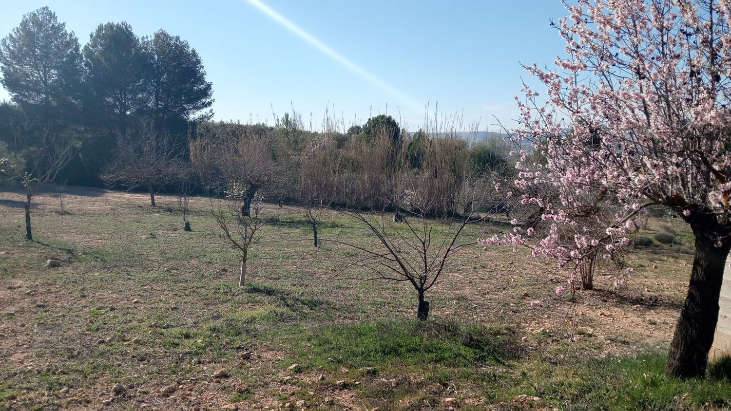 Finca rústica en Poligono 2, 121 Parcela - Foto 18