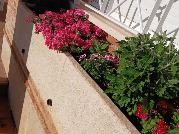Casa o chalet independiente en Calle Eduardo Núñez, 9, Zona Norte - Nueva Valdepeñas, Zona Norte - Nueva Valdepeñas - Foto 12