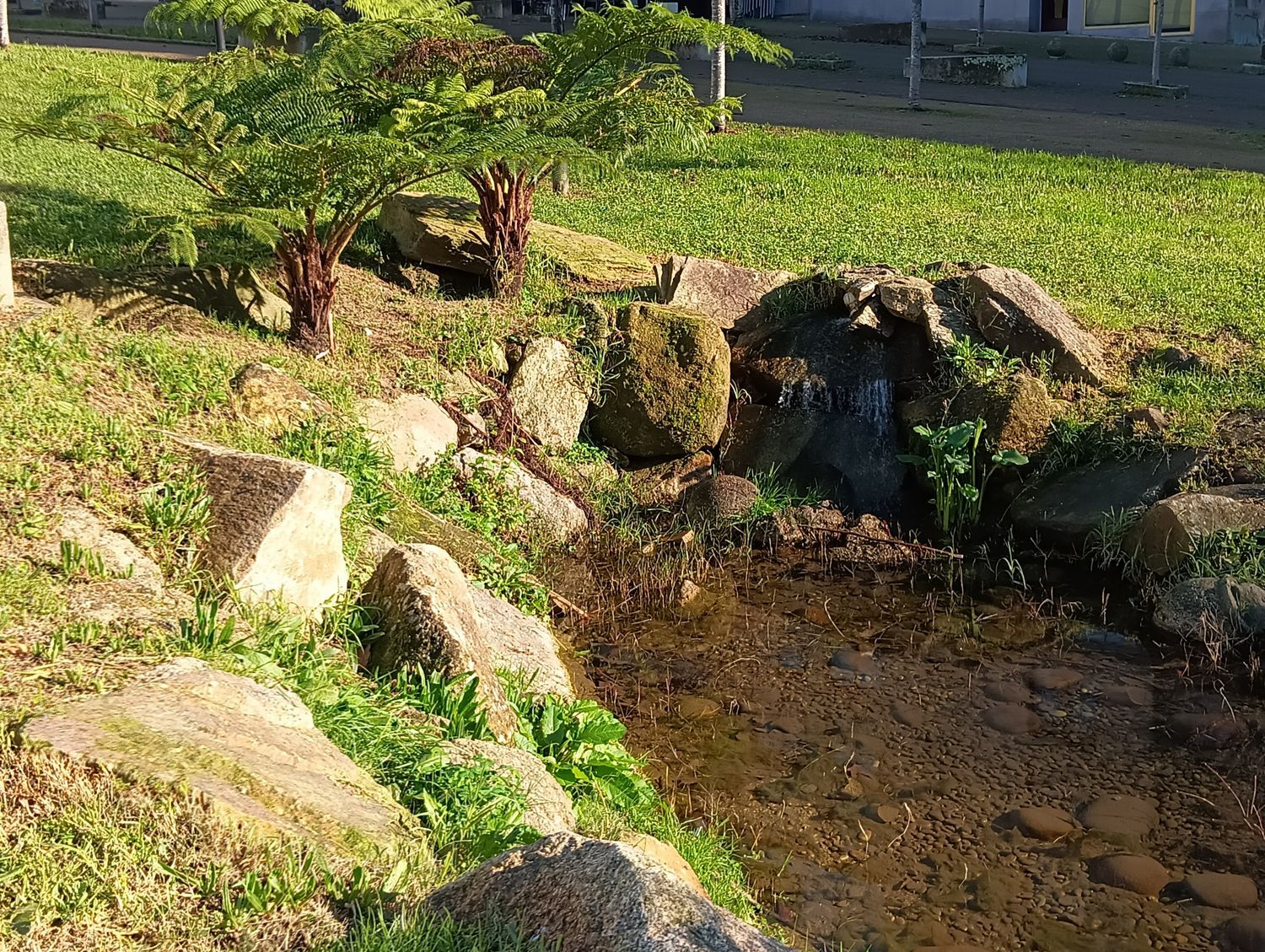 Piso en plaza da Miñoca, 24 - Foto 5