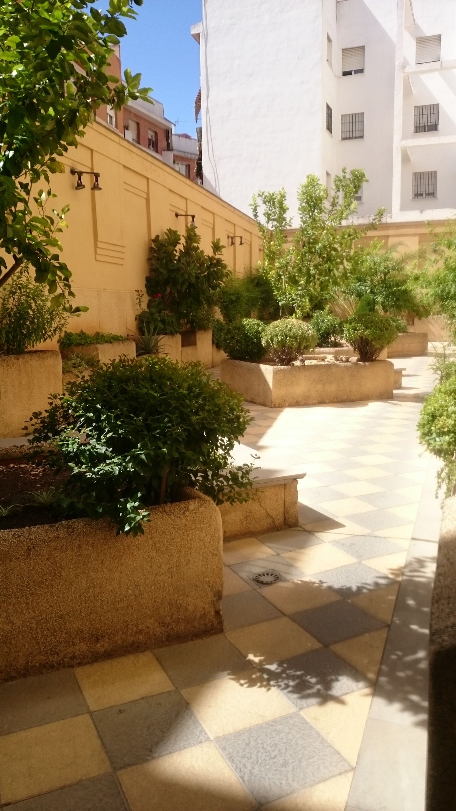 Piso en calle el Avellano, 12 - Foto 18