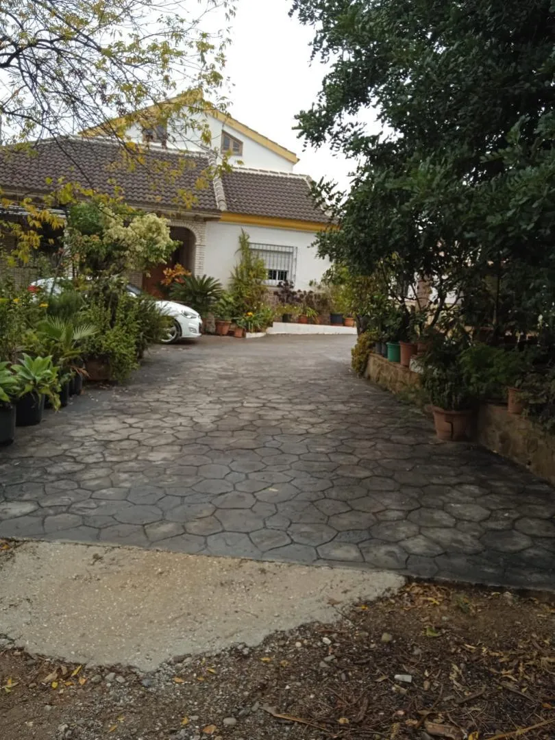 Finca rústica en  Calle Atlántida 242 - Foto 15