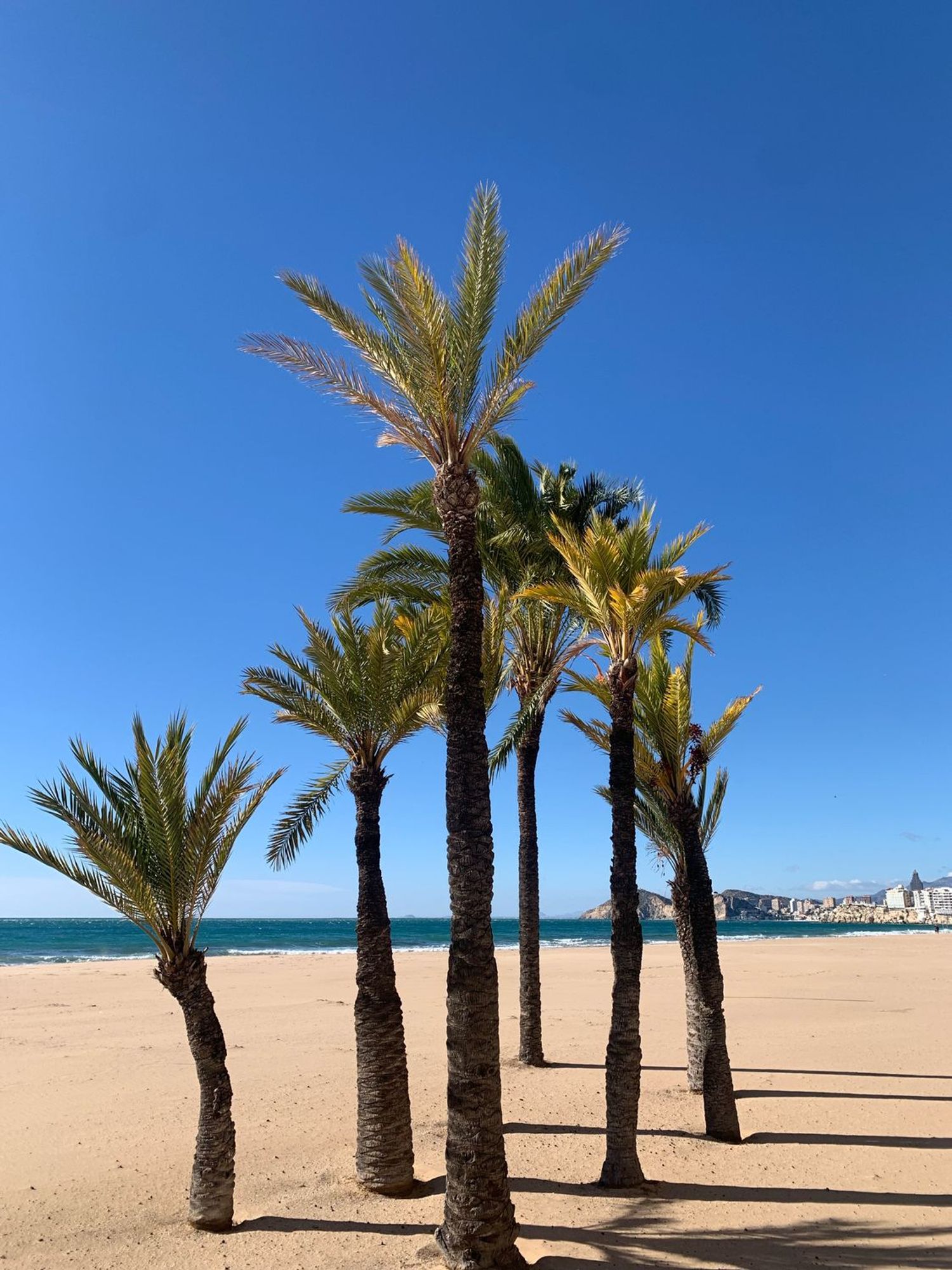 Ático en avenida de Montecarlo, 8 a - Foto 20