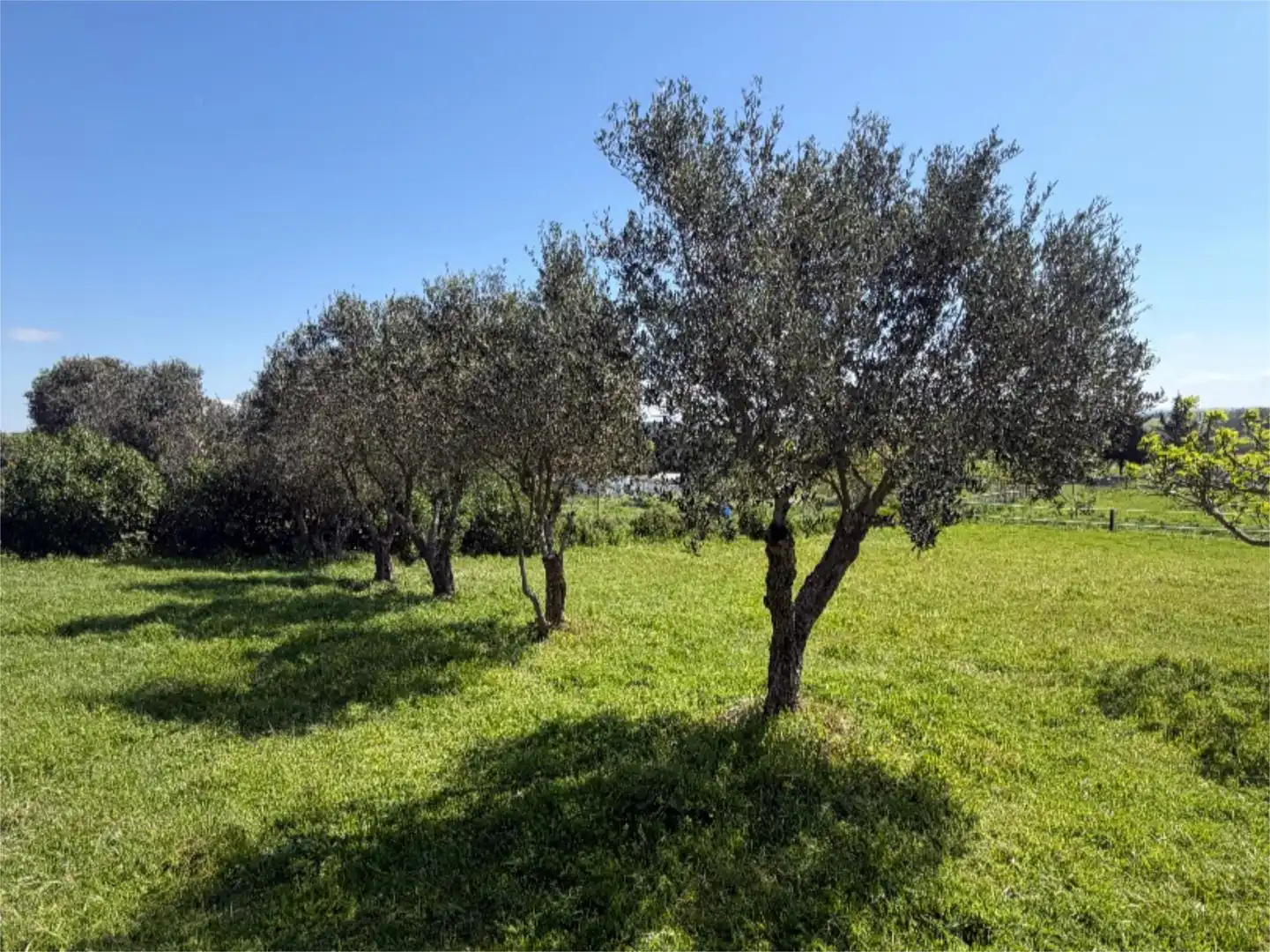 Chalet en  Diseminado Pago Victoria 328 - Foto 16