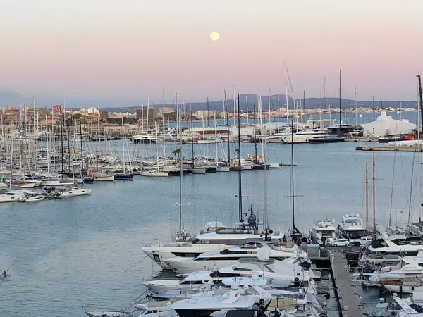 Casa independiente en avenida de Gabriel Roca, 15 - Foto 1