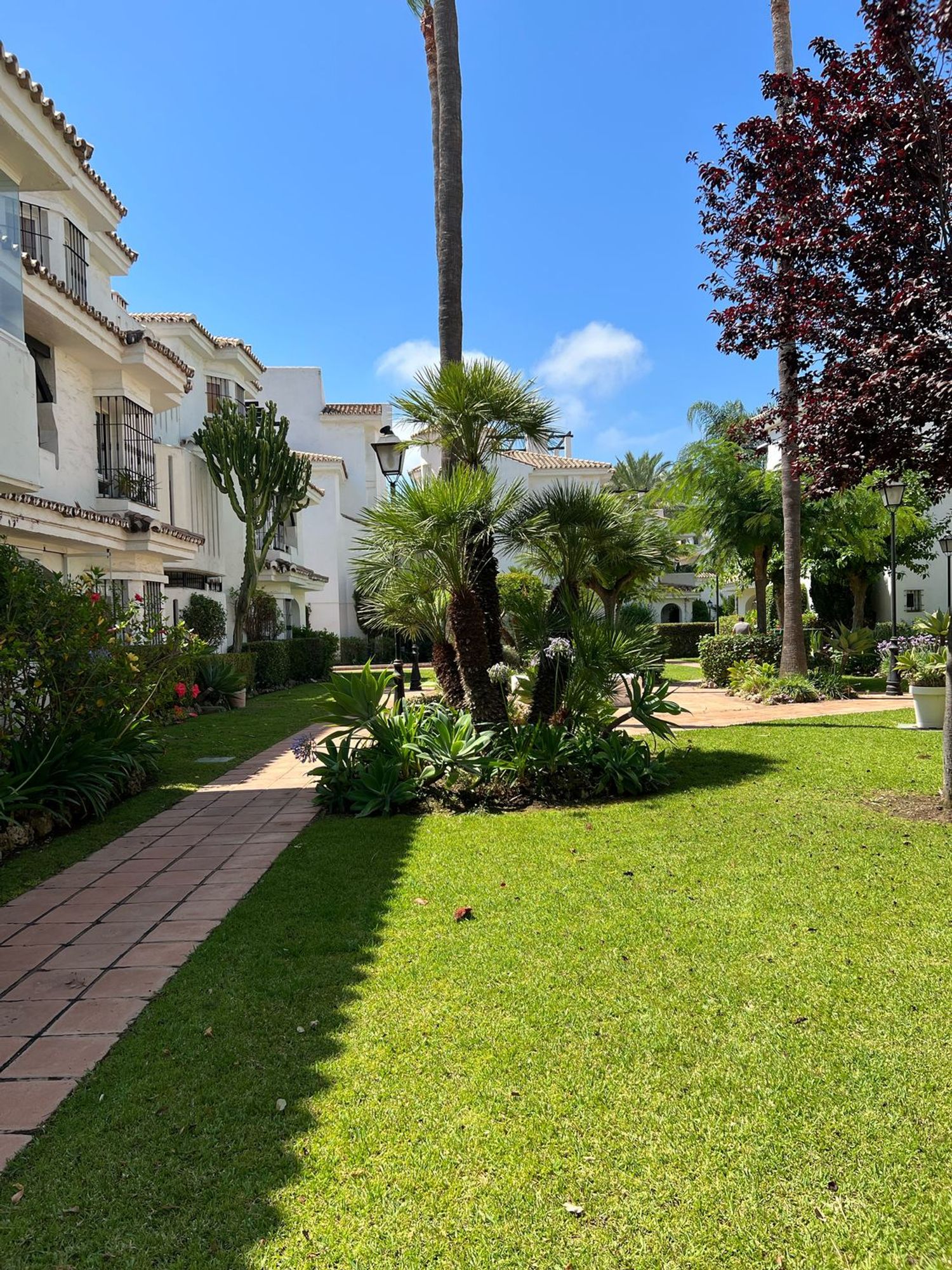Ático en Urbanización Los Naranjos de Marbella, 54 - Foto 30