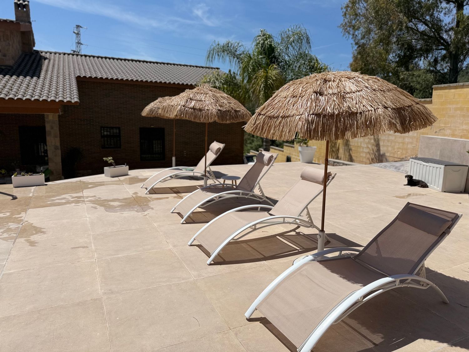 Casa independiente en avenida El brillante, 10 - Foto 2