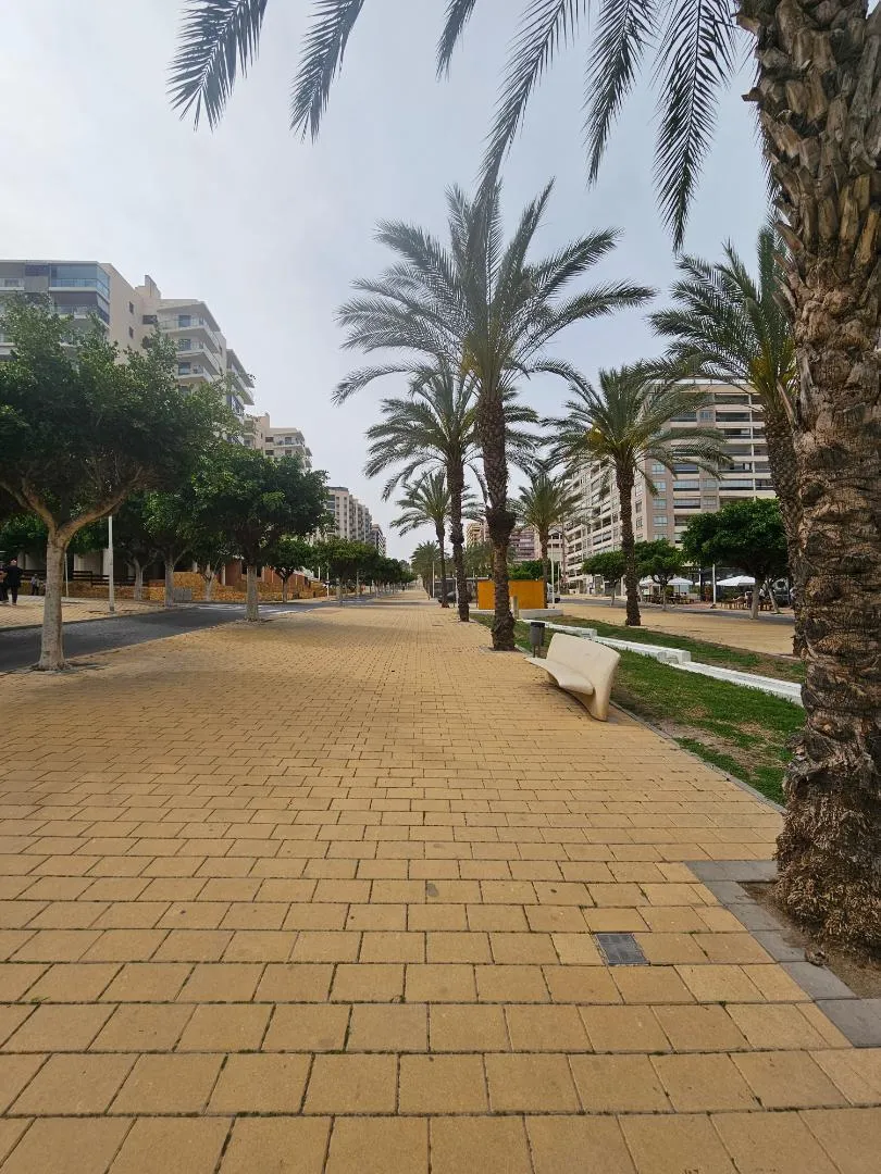 Piso en  Carrer Gregal 4 - Foto 4