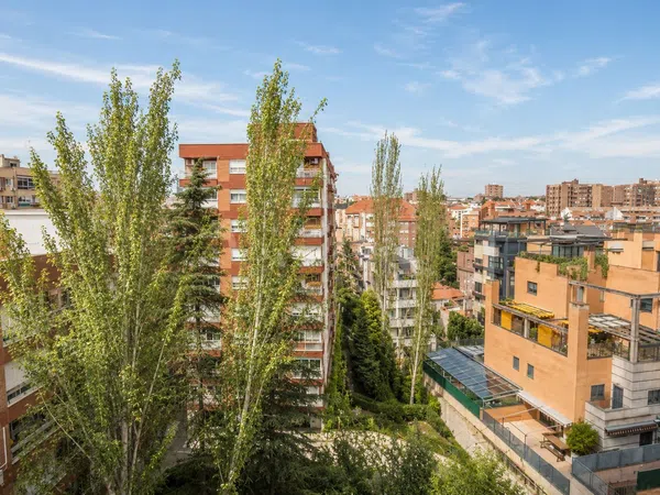 Piso en Avenida de Ramón y Cajal, 111, Colina - Foto 19