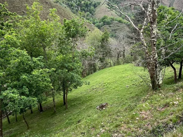 Finca rústica en Infiesto - Riofabar s/n - Foto 2