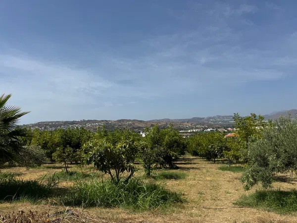 Casa rural en Camino de Campanales, 1, Las Cañadas - Foto 12