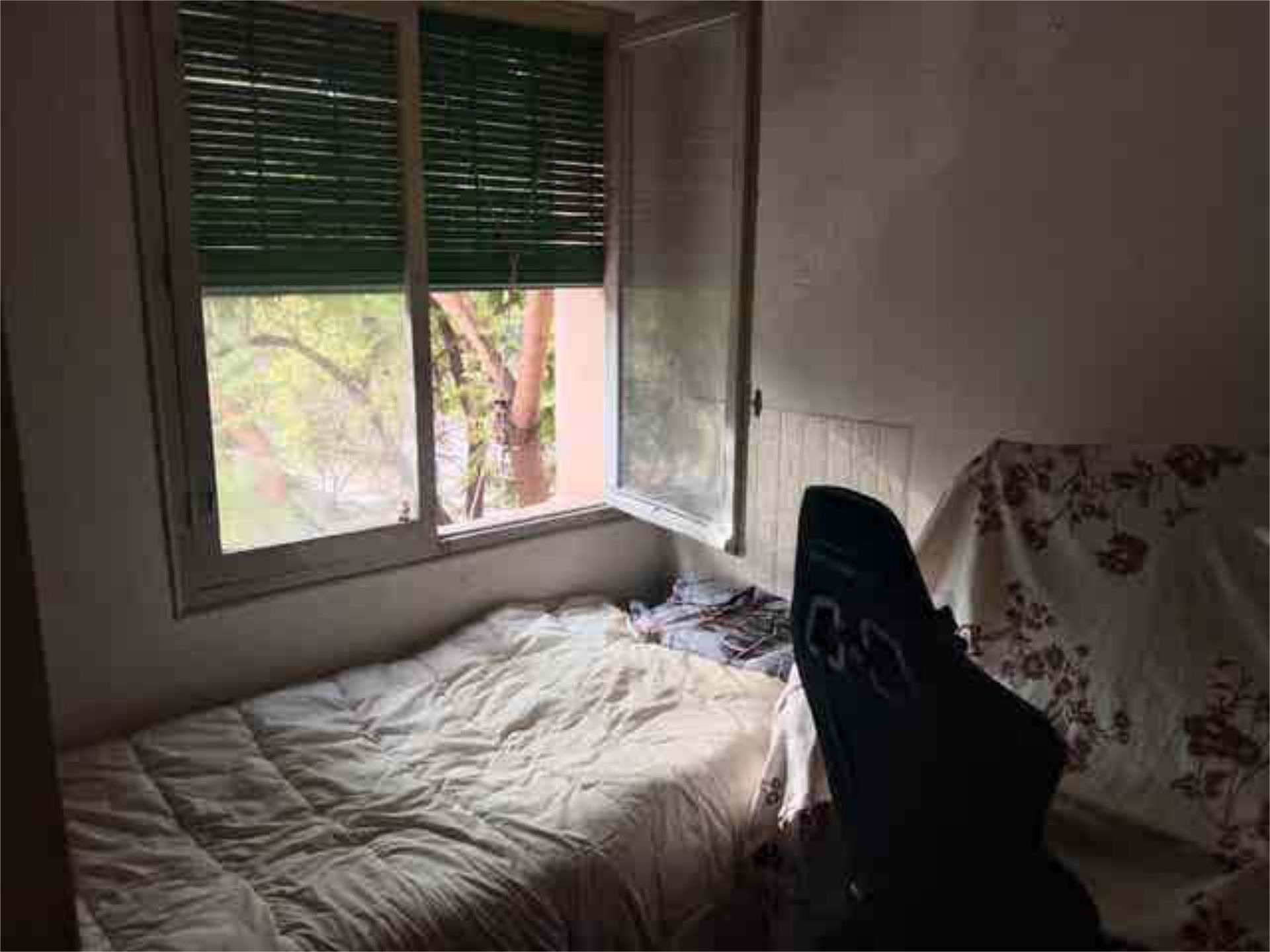 Piso en Carolinas Altas - Foto 7