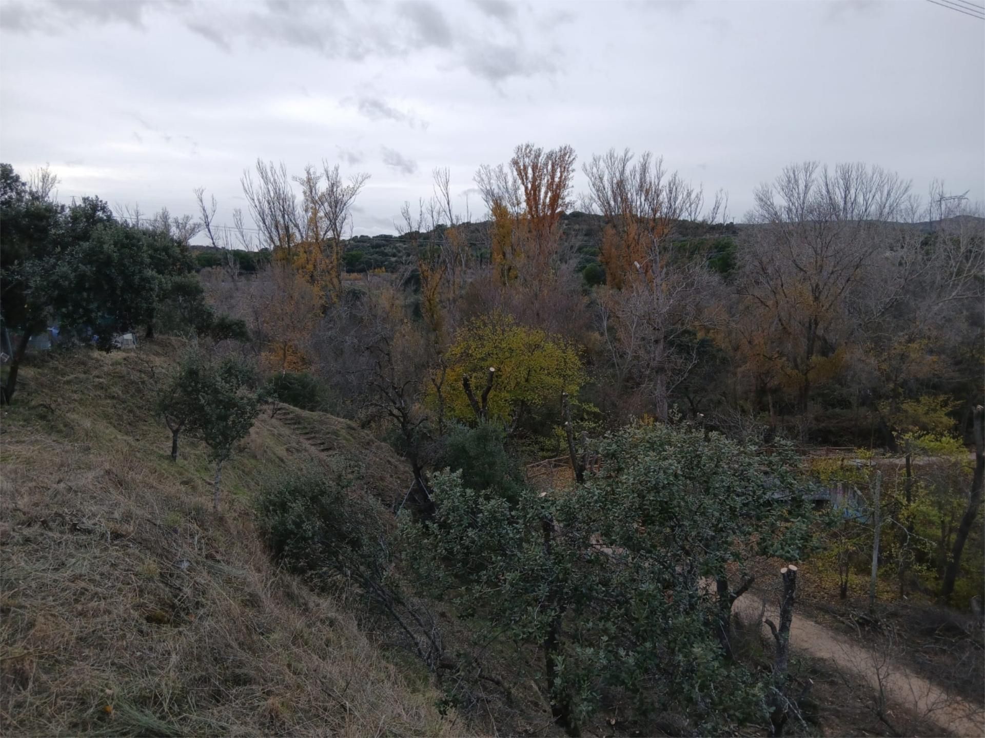 Finca rústica en  M-505 10 - Foto 7