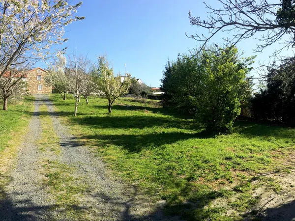 Casa rural en aldea catasol, 14, Sedes-Pedroso-Doso - Foto 3