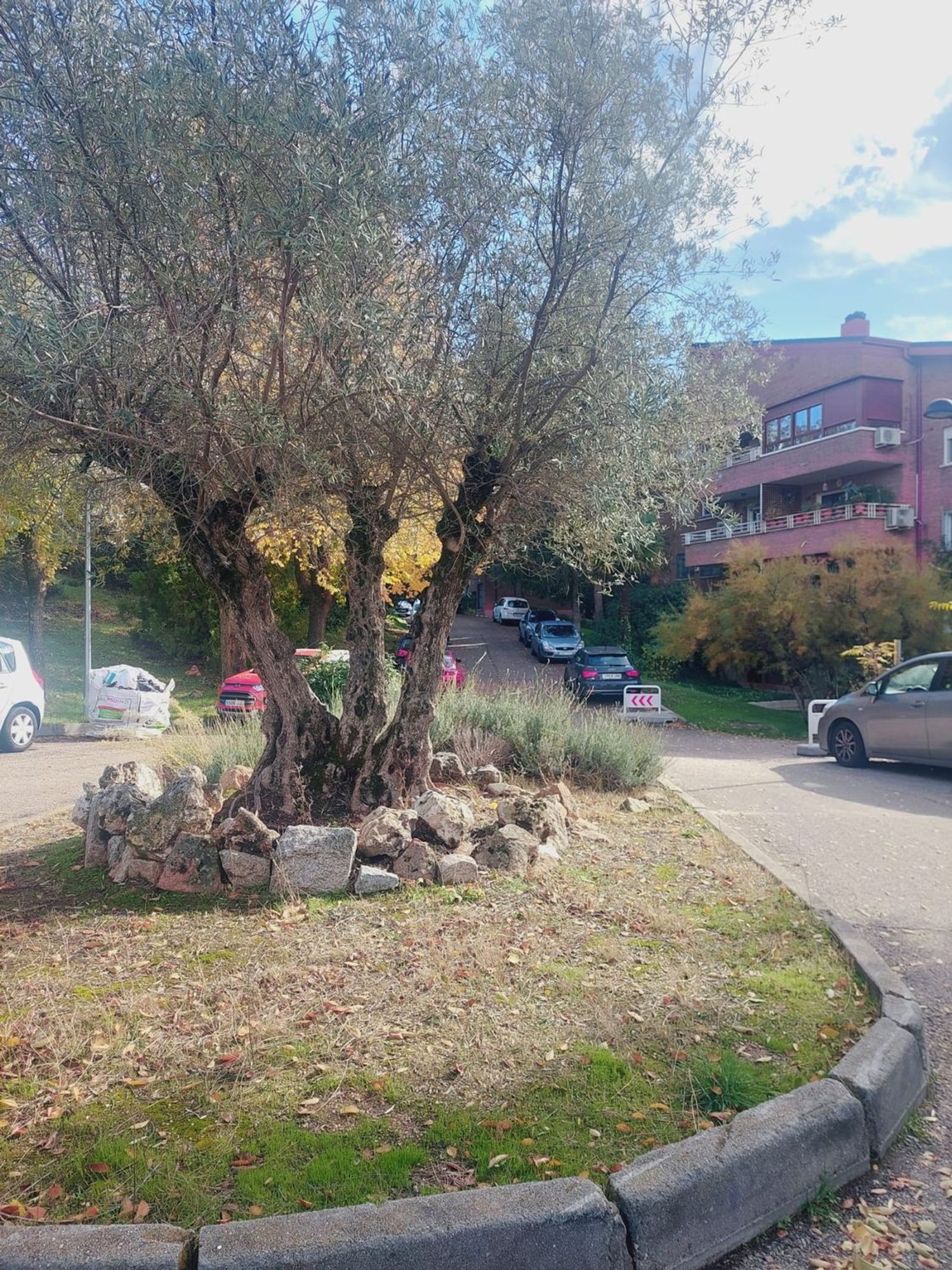 Dúplex en travesía de Somosierra, 7 - Foto 9