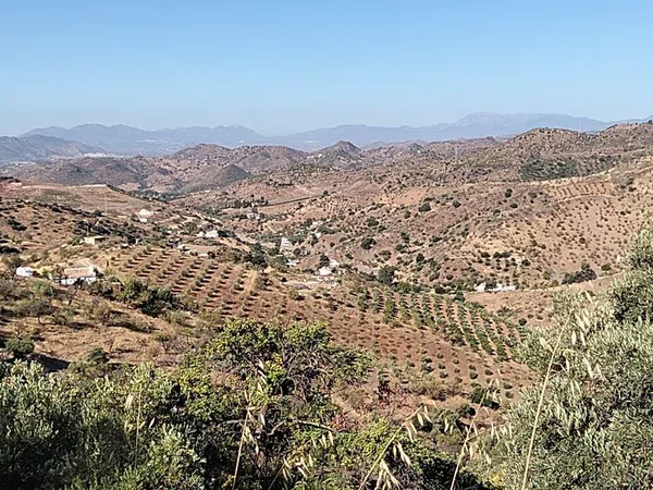 Finca rústica en Camino Los Nuñez, 1 - Foto 4