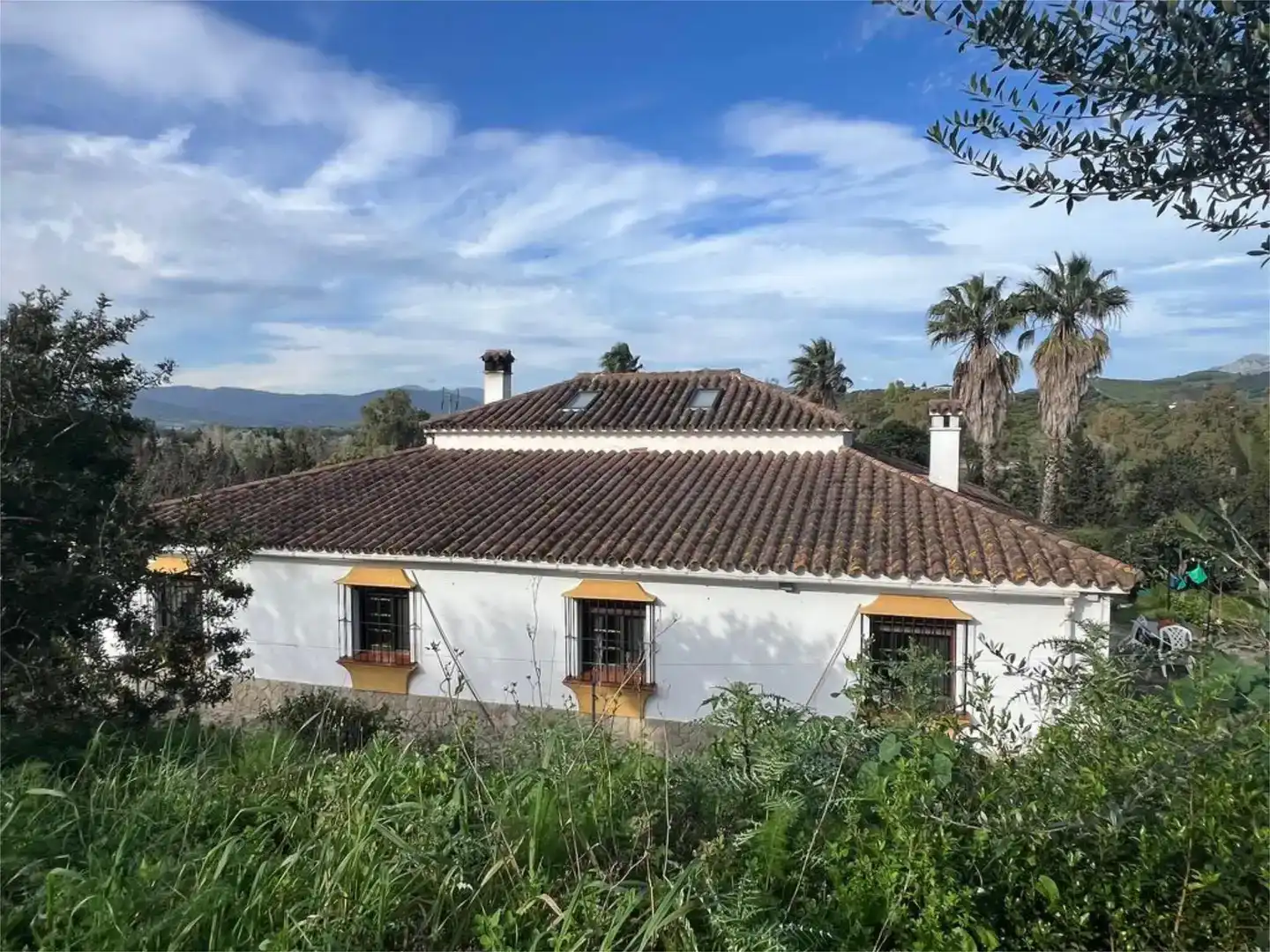 Finca rústica en  Carretera de Jimena 1 - Foto 4