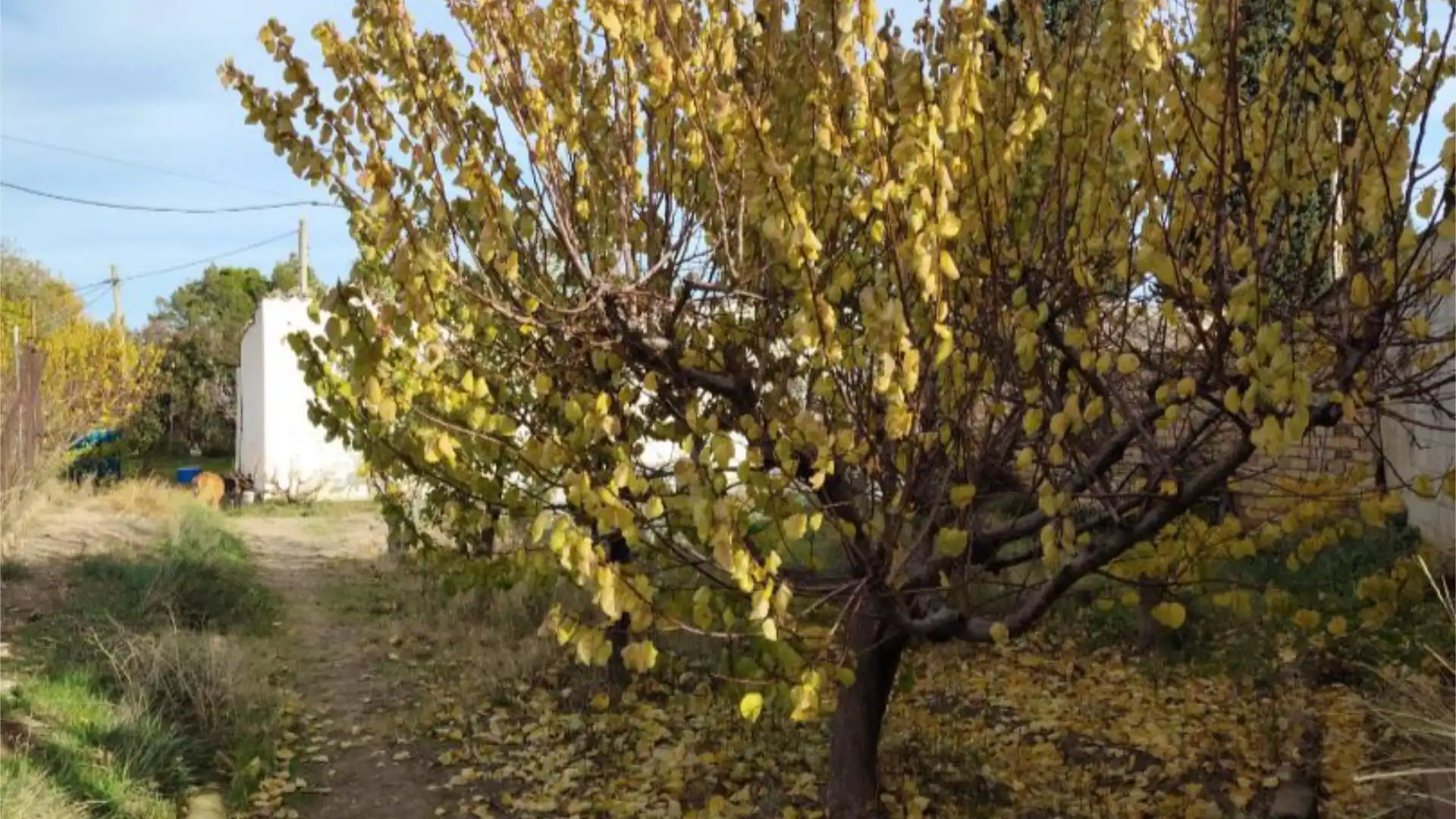 Chalet en  Camino de Cascajales 23 - Foto 22