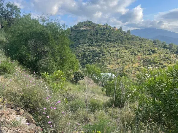 Finca rústica en Camino de Alozaina, 10 - Foto 13