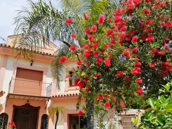 Casa independiente en Carretera, 188 - Foto 37