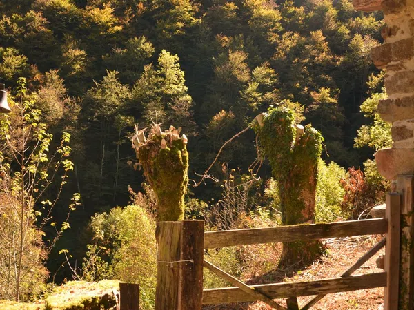 Casa de pueblo en Llana La Piedra, 29 Poligono - Foto 14