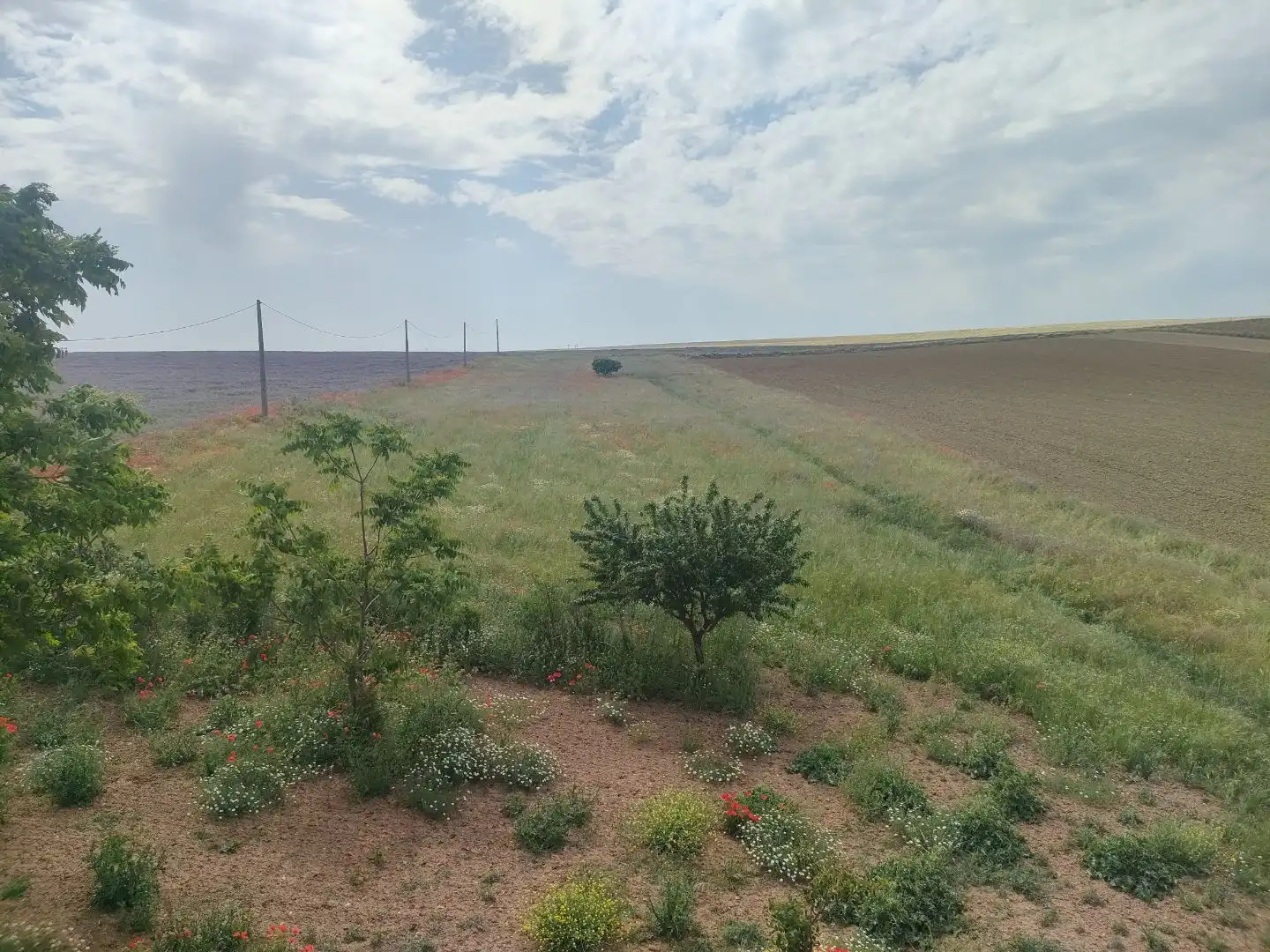 Finca rústica en  Carretera Salamanca 8101 - Foto 14