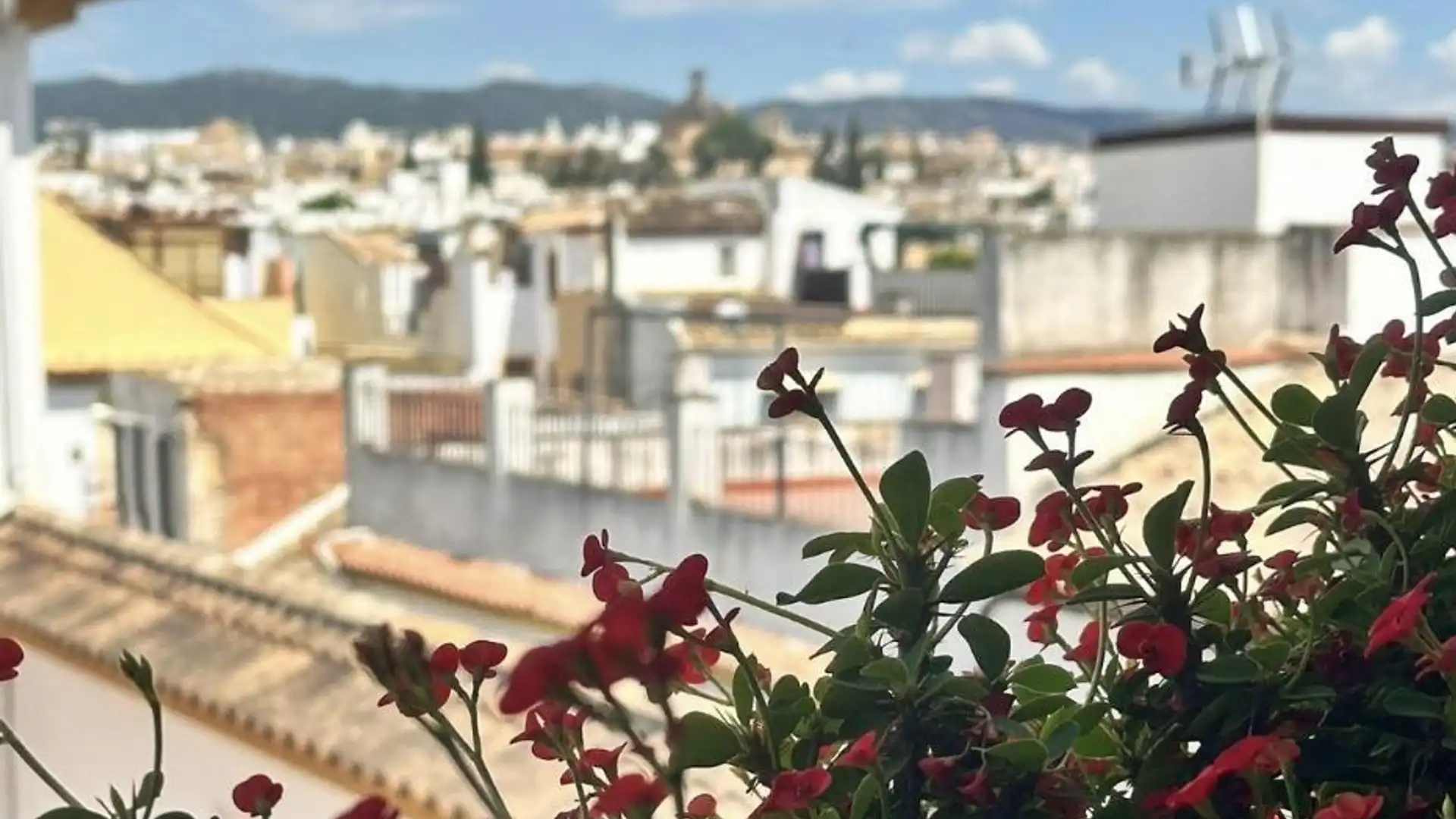 Piso en  Calle Capitulares 16 - Foto 1