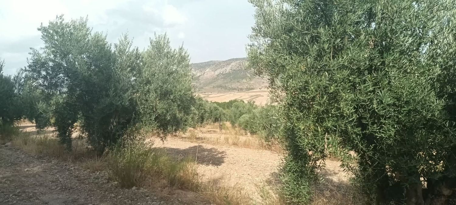 Cortijo en Cortijo en cortijo el cigaral s/n - Foto 8