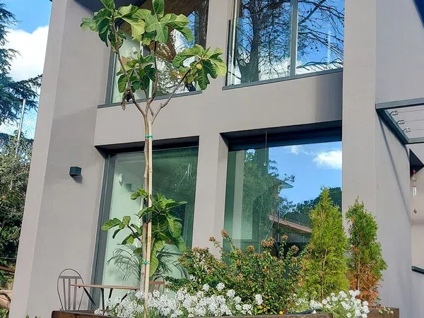 Casa o chalet independiente en Calle Nuestra Señora de la Paloma, 3, Colonia, Colonia - Foto 2