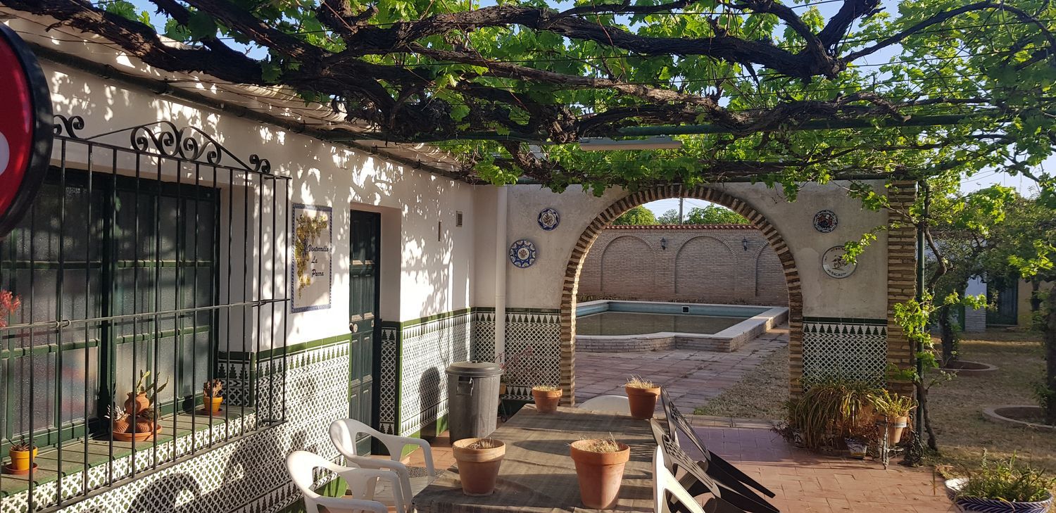 Casa o chalet independiente en Calle Calandria, 4, Carretera de Sevilla a Utrera, Carretera de Sevilla a Utrera - Foto 7