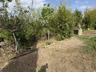 Finca rústica en  Calle Pozo Nuevo 8D - Foto 6