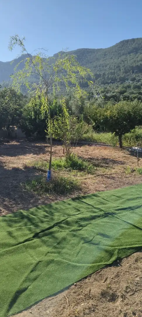Finca rústica en - Foto 6