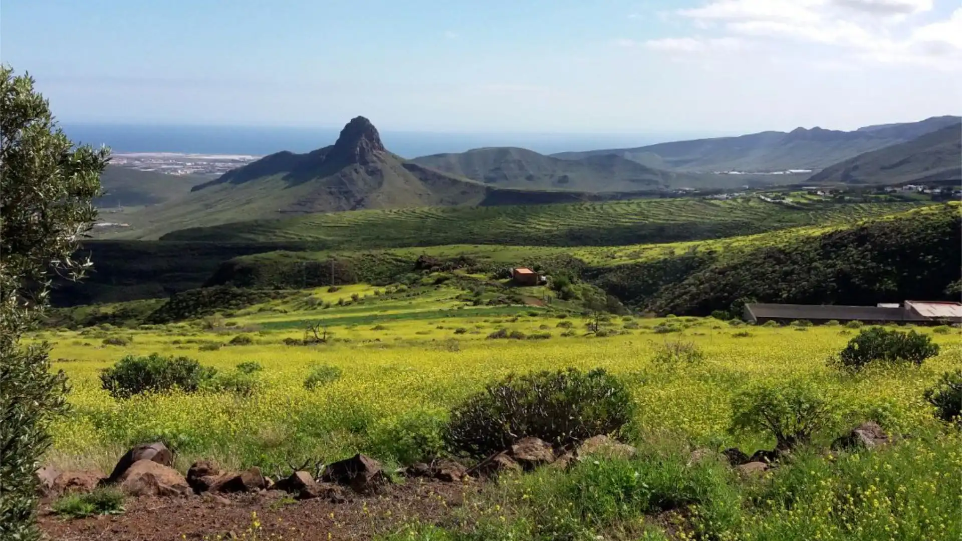Finca rústica en calle Calle Espíritu Santo 15 - Foto 30
