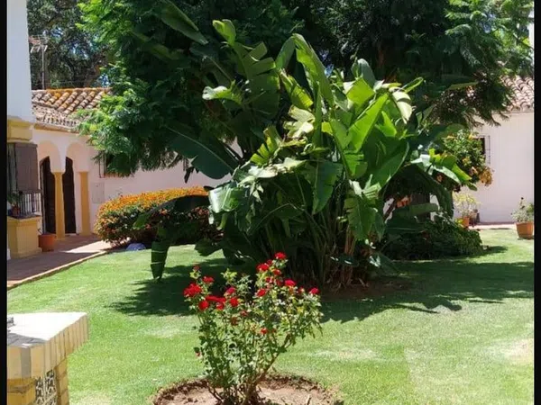 Chalet adosado en Calle Joaquín Rodrigo, 13, Hacienda Elviria - Foto 37