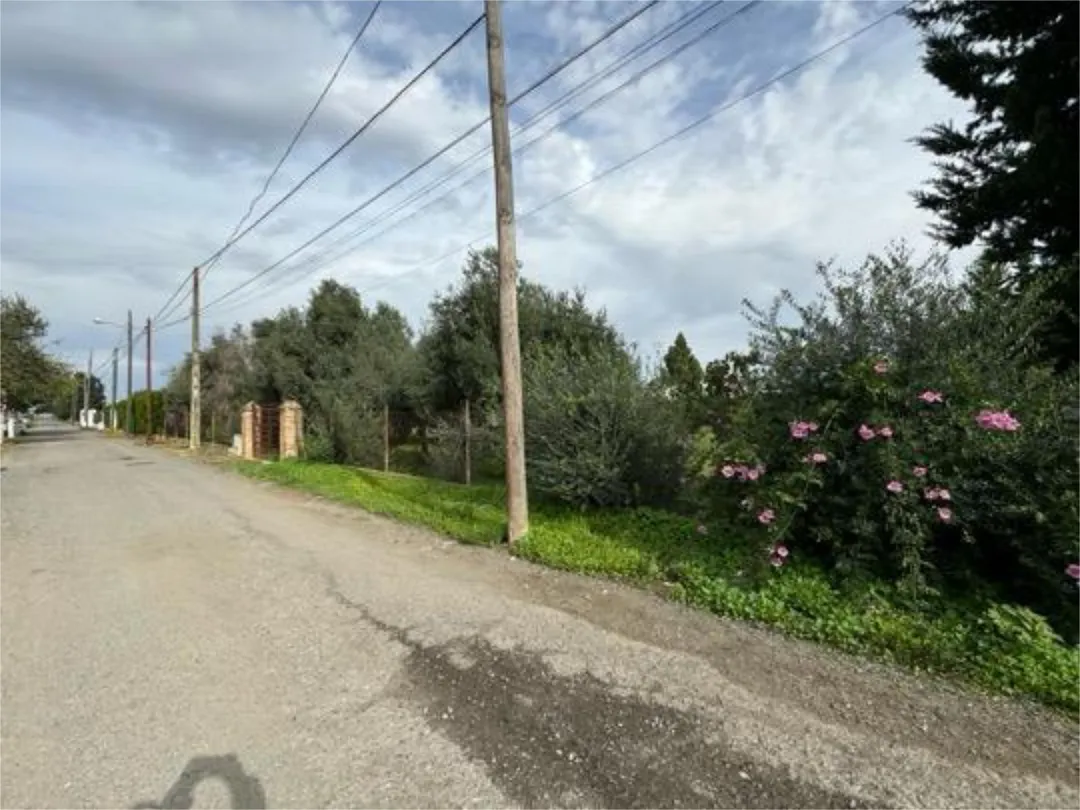 Casa adosada en Zona Norte - Foto 3