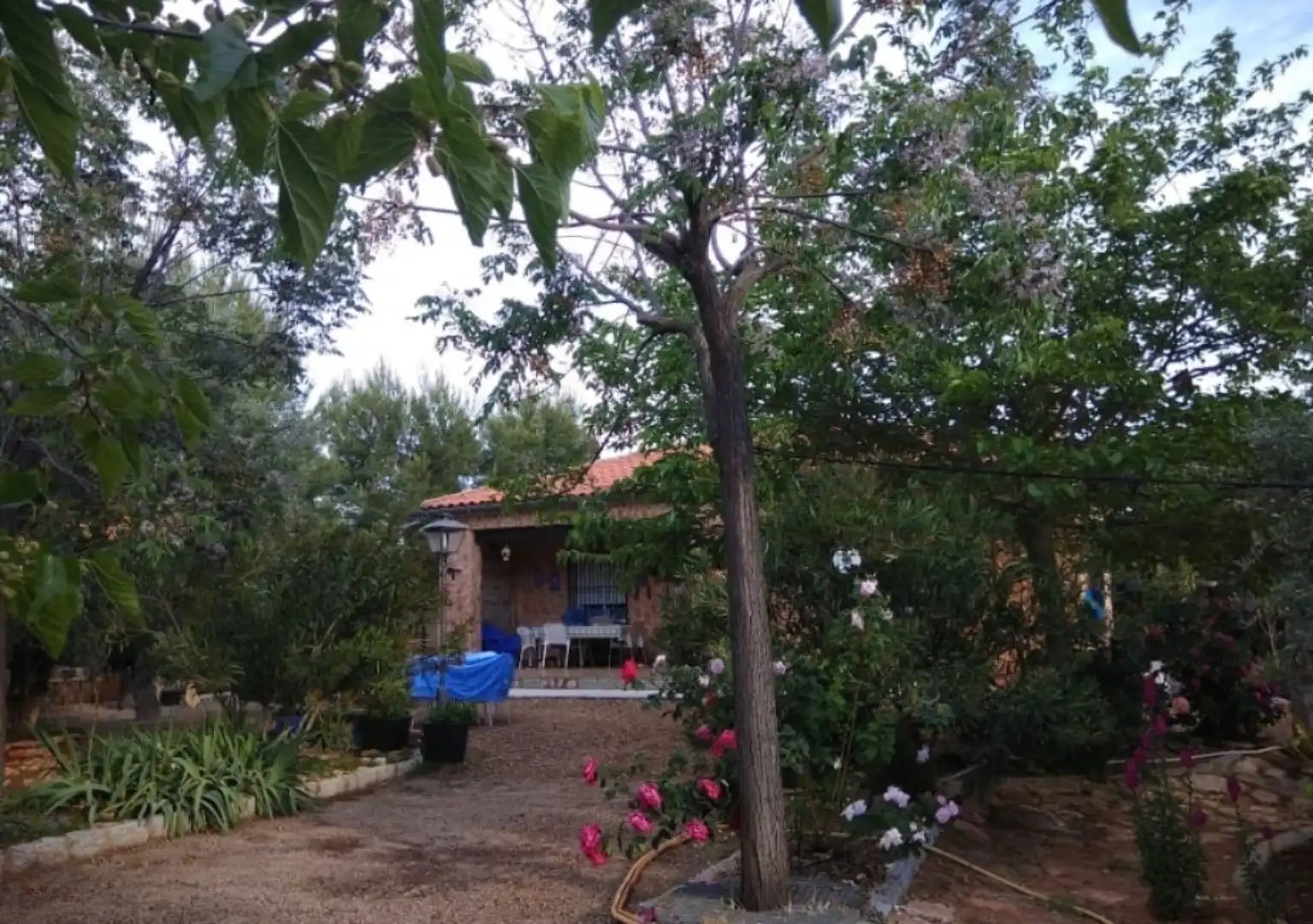 Chalet en  Calle Miguel de Cervantes 22 - Foto 3