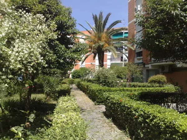 Piso en Calle Doctor José Altolaguirre, 9 - Foto 1