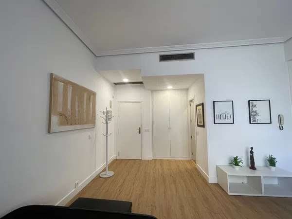 Estudio en calle Lino, 14 - Foto 11