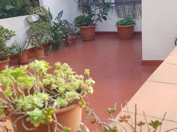 Piso en calle de Reig i Bonet, 11