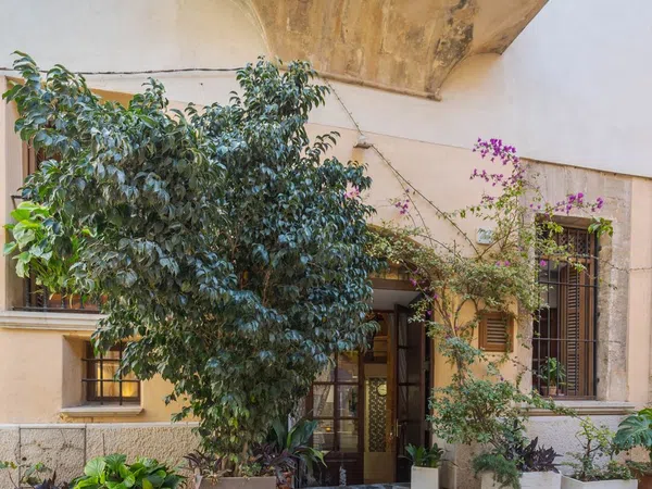 Estudio en Calle de Sant Pere, 20, La Llotja - Foto 37