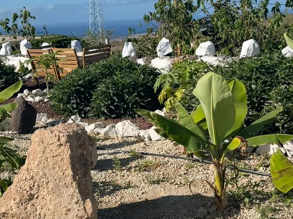 Casa o chalet independiente en Llano blanco, 40, Aldea Blanca-Las Zocas, Aldea Blanca-Las Zocas - Foto 1