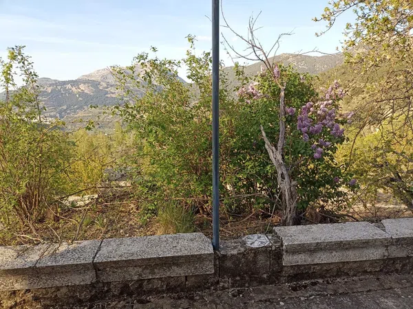 Cortijo en Carretera Fuenmayor s/n - Foto 6