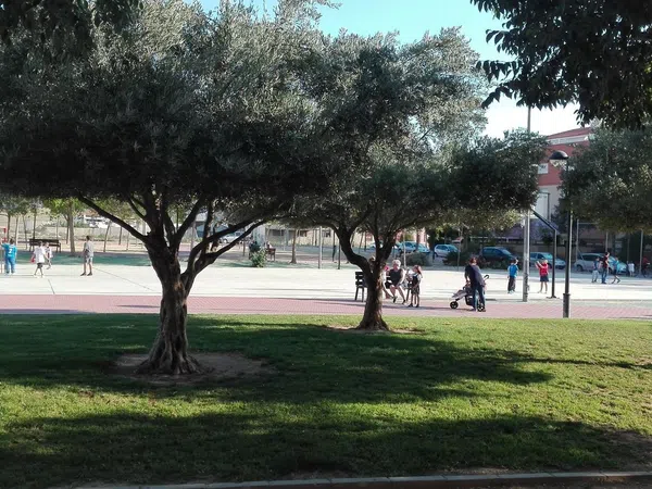 Ático en Calle Tejeras, 16 - Foto 3