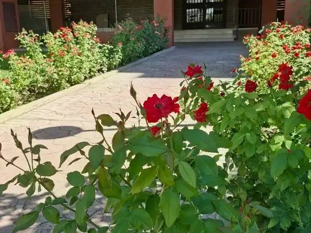 Piso en  Avenida de Baunatal 24 - Foto 6