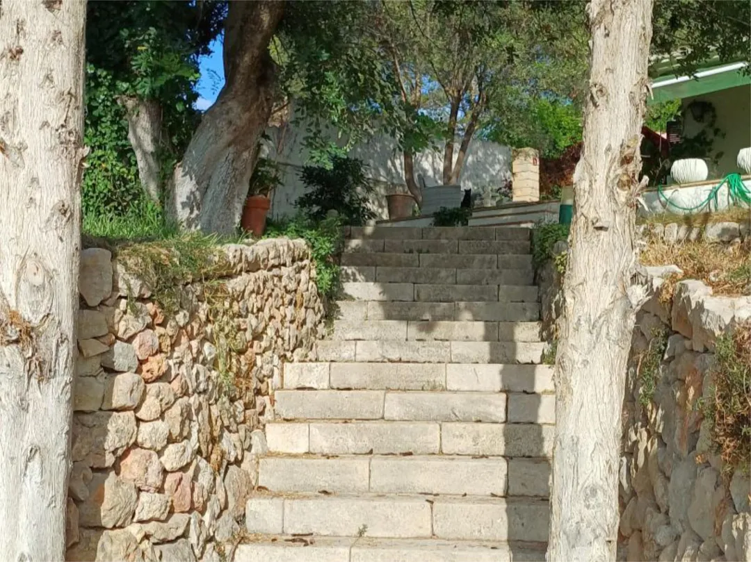 Finca rústica en  Camí Son Bauçanet 23 - Foto 5