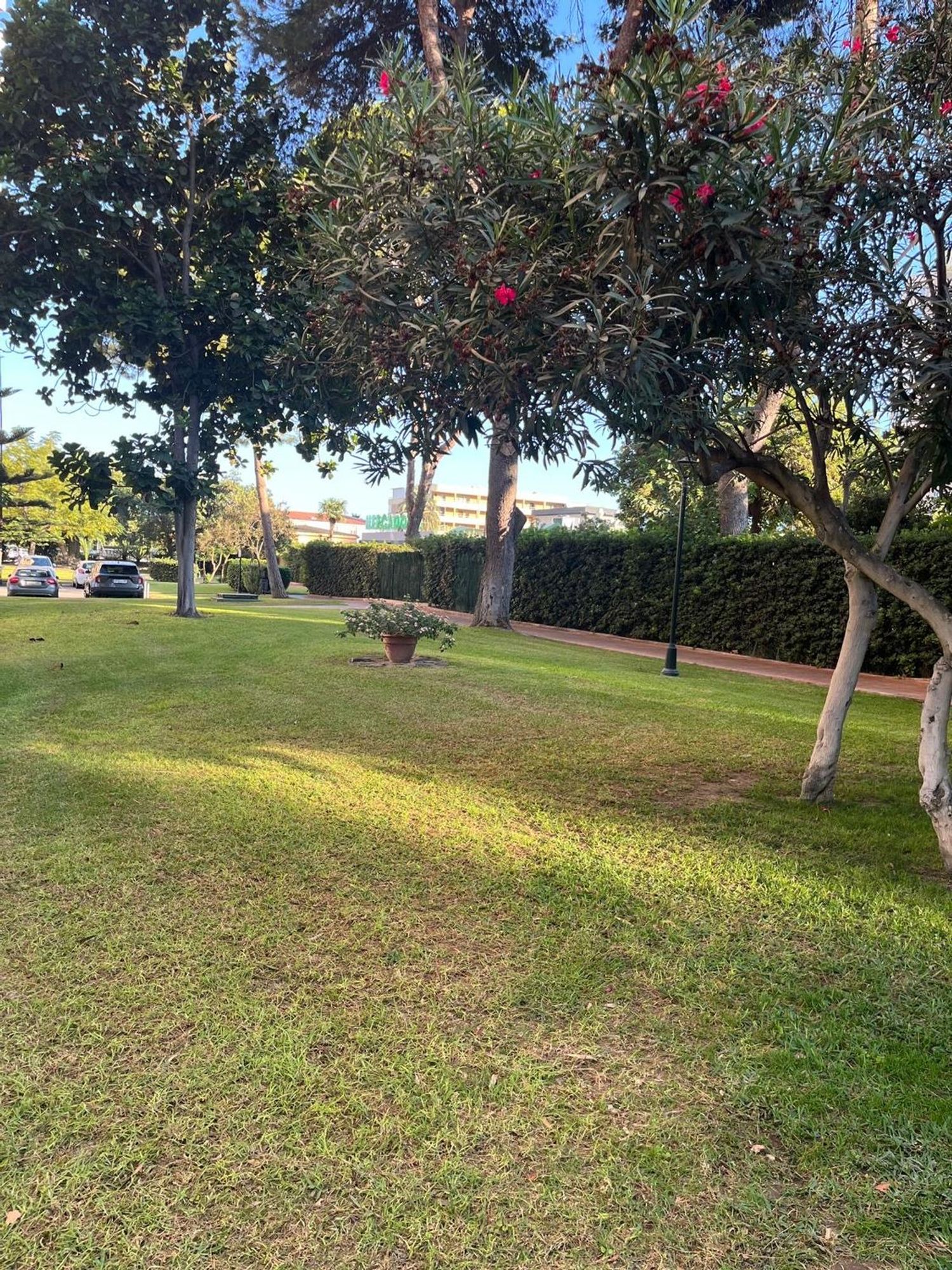 Piso en Avenida de Playamar, 70, Playamar - Benyamina - Foto 31