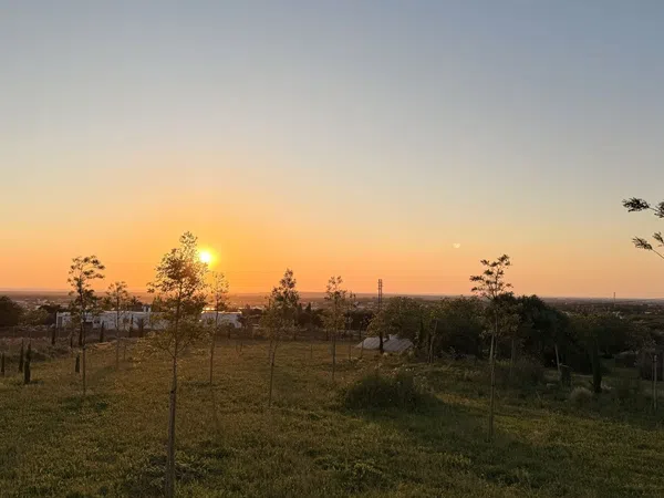 Finca rústica en Ca-4201 s/n, Barrio Nuevo, Barrio Nuevo - Foto 2