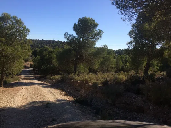 Casa o chalet independiente en A-91, 94, Zarcilla de Ramos-Doña Inés, Zarcilla de Ramos-Doña Inés - Foto 24